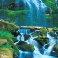 We all want to be famous people,and the moment we want to be something we are no longer free.- J. Krishnamurti