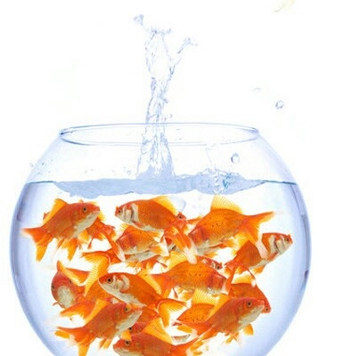 promostaffuk's profile picture. Tweeting news & views about Promotional Staff, Events Staff, Brand Ambassadors, PR & Social Media...