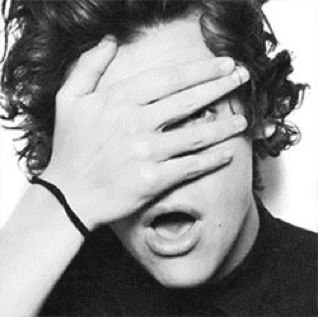 I may or may not be that guy from One Direction. *PARODY*