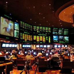 scorebookers's profile picture. Your Money Knowledge Center