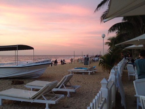 NarishtaR's profile picture. 