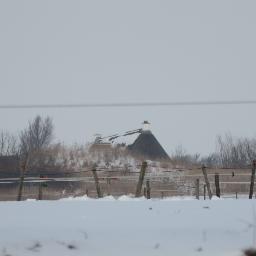 Reinoudhiemstra's profile picture. 