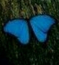 جامعة الاميره نوره