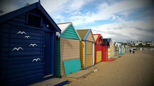 1996AH1982's profile picture. 