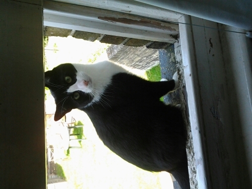 cordell_chelsea's profile picture. 