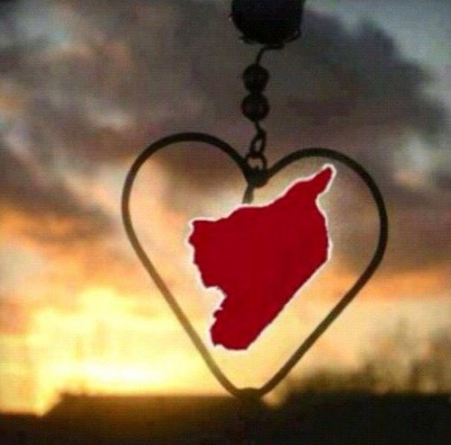 الضيقه اللي .. بصدري مـا تخلينـي * يشفع لها .. بالضلوع انها على شانـك
