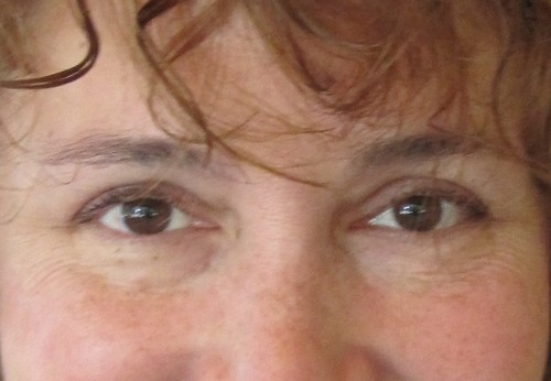 ConservativeRI's profile picture. A rare Rhode Island conservative