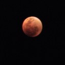 Peter Roach - @roach_peter - Twitter