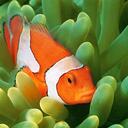 lisa borne - @lisa1flora - Twitter