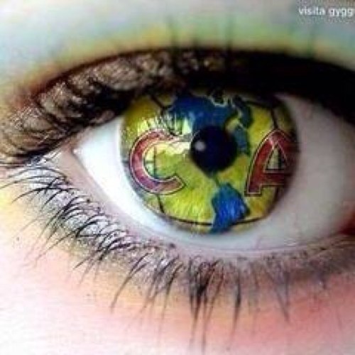 alexninna's profile picture. 