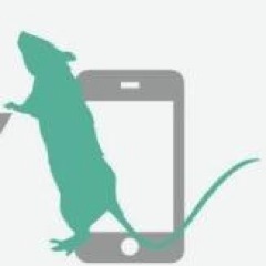 pestability's profile picture. Pestability is an all-in-one software solution to allow pest technicians to work more efficiently whilst reducing costs and saving precious time.