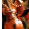 Cellist