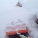 Lori Harris Ward - @lharrisward - Twitter