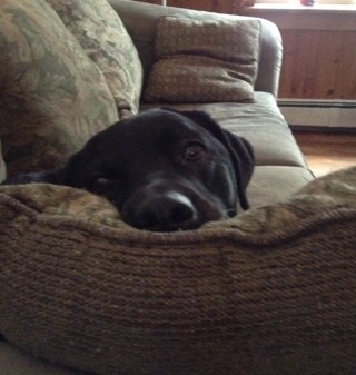 wcny123's profile picture. 