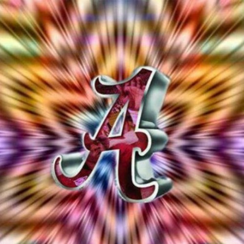 dsc4bama's profile picture. 