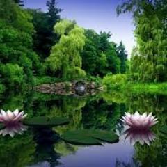 If you have found your truth within yourself there is nothing more in this whole existence to find.- Osho