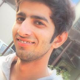 Joomla Developer