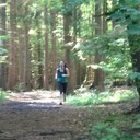 Erin Beveridge - @ErinBeveridge - Twitter