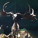 John Bradberry - @JohnBradB - Twitter