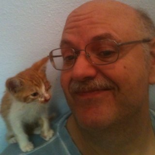 shout2dedparrot's profile picture. 