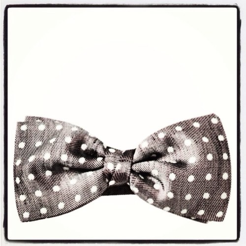 oscarbenavides9's profile picture. Too mexican, too mystical, too mezcal, too Clandestino