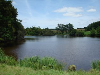 Haute Vienne Carp is a fishing lake in France.