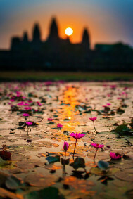 `الأمـان` أن تشعر بأحدهم يحميگ بقلبہ قَبل يـديہ♥♥