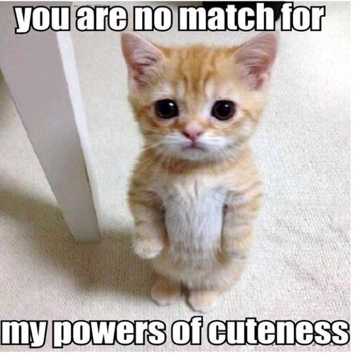 PockyBlitz's profile picture. To avoid criticism, do nothing, say nothing, be nothing. - Elbert Hubbard