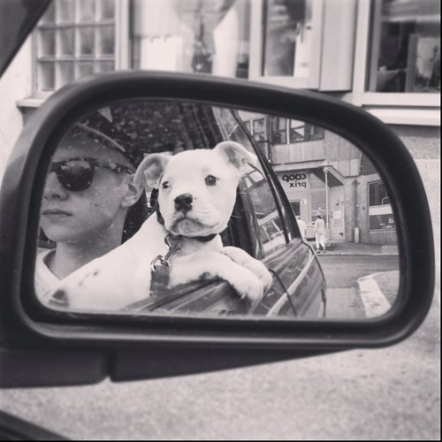 JesseGr33n's profile picture. Representerer for Greenlight og kaster opp en H. kommer fra der skogen møter gata, hit meg up @ booking.greenlight@gmail.com!