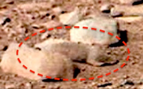 going around trying to hide from curiosity and stuff and thats totally not our secret hideout
Mars