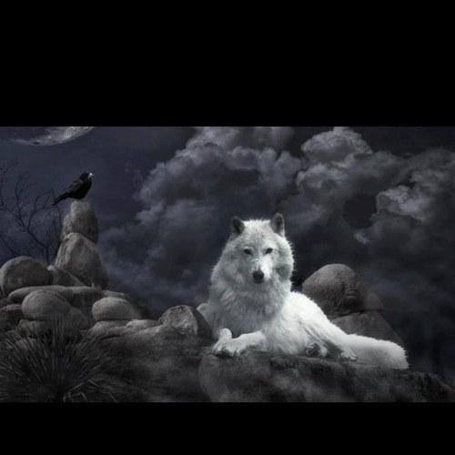 MORPHEUS316924's profile picture. I build my life without the boundaries of my body asked my spirit visa,and driving my feet for the same paths of my dreams ... This is to be free