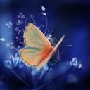 Vanessa Silverio  - @VanessaSilver11 - Twitter