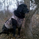 gary sinclair - @bandsr4me - Twitter