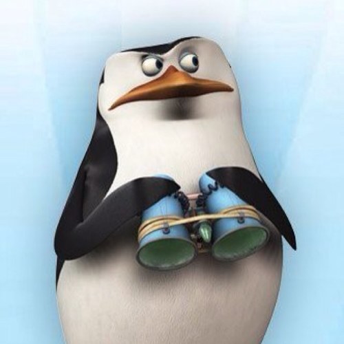 Raphthepenguin's profile picture. Living by grace for the giver of life // Brustring auf dem Herz -VfB auf der Insel // Sportliebhaber VfB, Earthquakes, 49ers, Sharks, Biathlon...