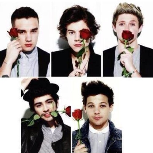 Hii ! I'm an Italian Directioner! If you are a Directioner follow me and I'll follow you back ;) 3