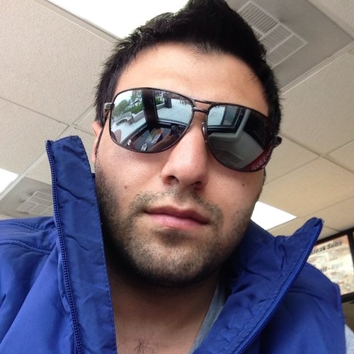 novaconsilium's profile picture. 