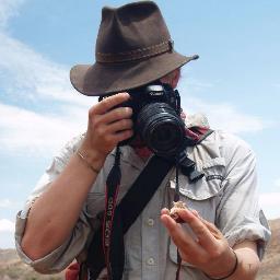 Carnivore & primate paleontologist. Curator of Fossils @DukeLemurCenter Co-creator of @pasttimepaleo and #AyeAyePod https://t.co/1iK29W1uD8. Expect typos. he/him