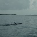 Melissa M. - @MelissaMichel27 - Twitter