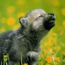 kevin o. - @kevin_oak - Twitter