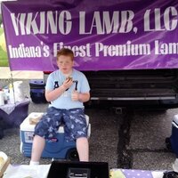 Viking Lamb (@vikinglamb) Twitter profile photo