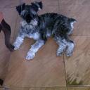 Andrea Molano - @Andreamolano23 - Twitter