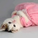 andreia souza da sil - @DEIA260 - Twitter