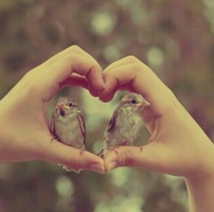 bobo_6366's profile picture. ‏أبتسم فمازال في الحياة أمل♡