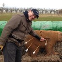 Richard Davidson - @rpldavidson - Twitter