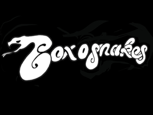 boxosnakes's profile picture. 