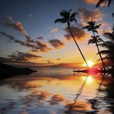 honolua surf co hats