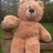 LeWanderingBear's profile image