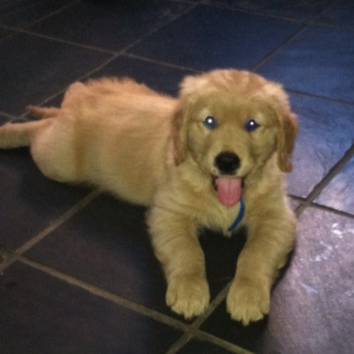 hank5189's profile picture. 