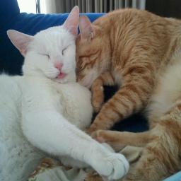 mayfay14's profile picture. 