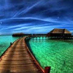Smart Easy Tour and Travel. We provides all tour packages what you want, just tell us!